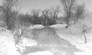 Faribault Springs winter scene 
