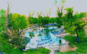 Faribault Springs 
