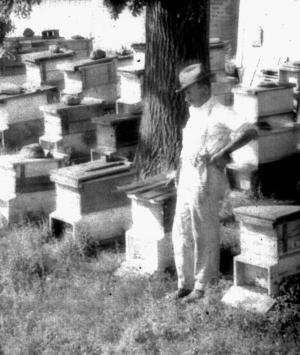 John Sames, Beekeeper     