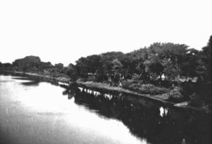 Minnesota River looking from the Lewis Sreet. Swing Bridge  