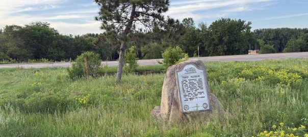 Pond Mission foundation